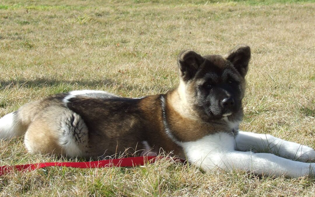 The results are simply amazing!