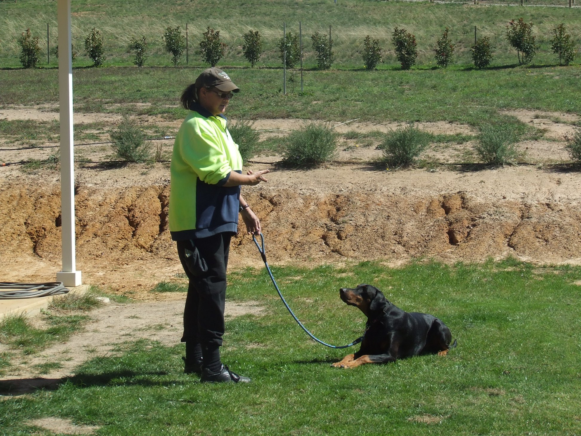 Balanced dog training outdoors in Goulburn with Sue Buffington