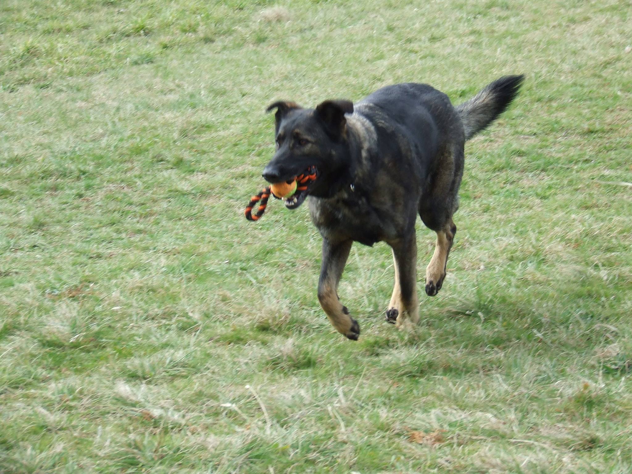 Mini Course: How To Teach Recall.