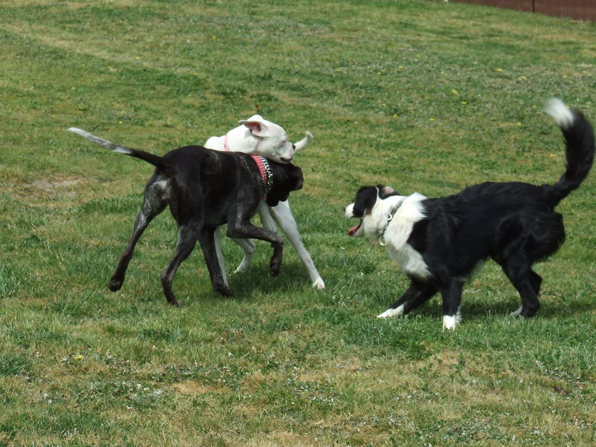 Socialisation Theory