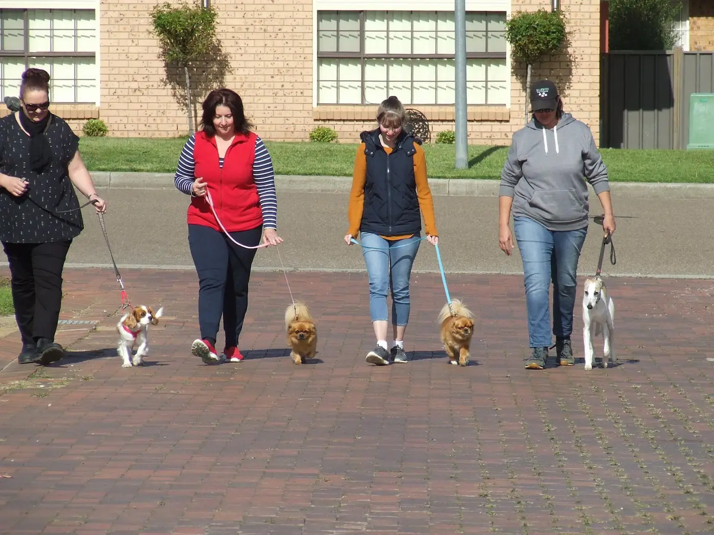 Reward Based Training